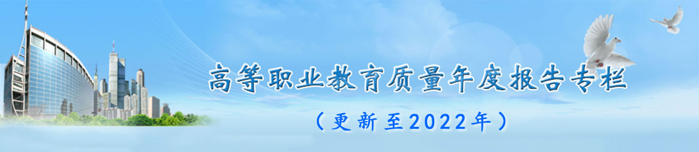 职业教育质量年报